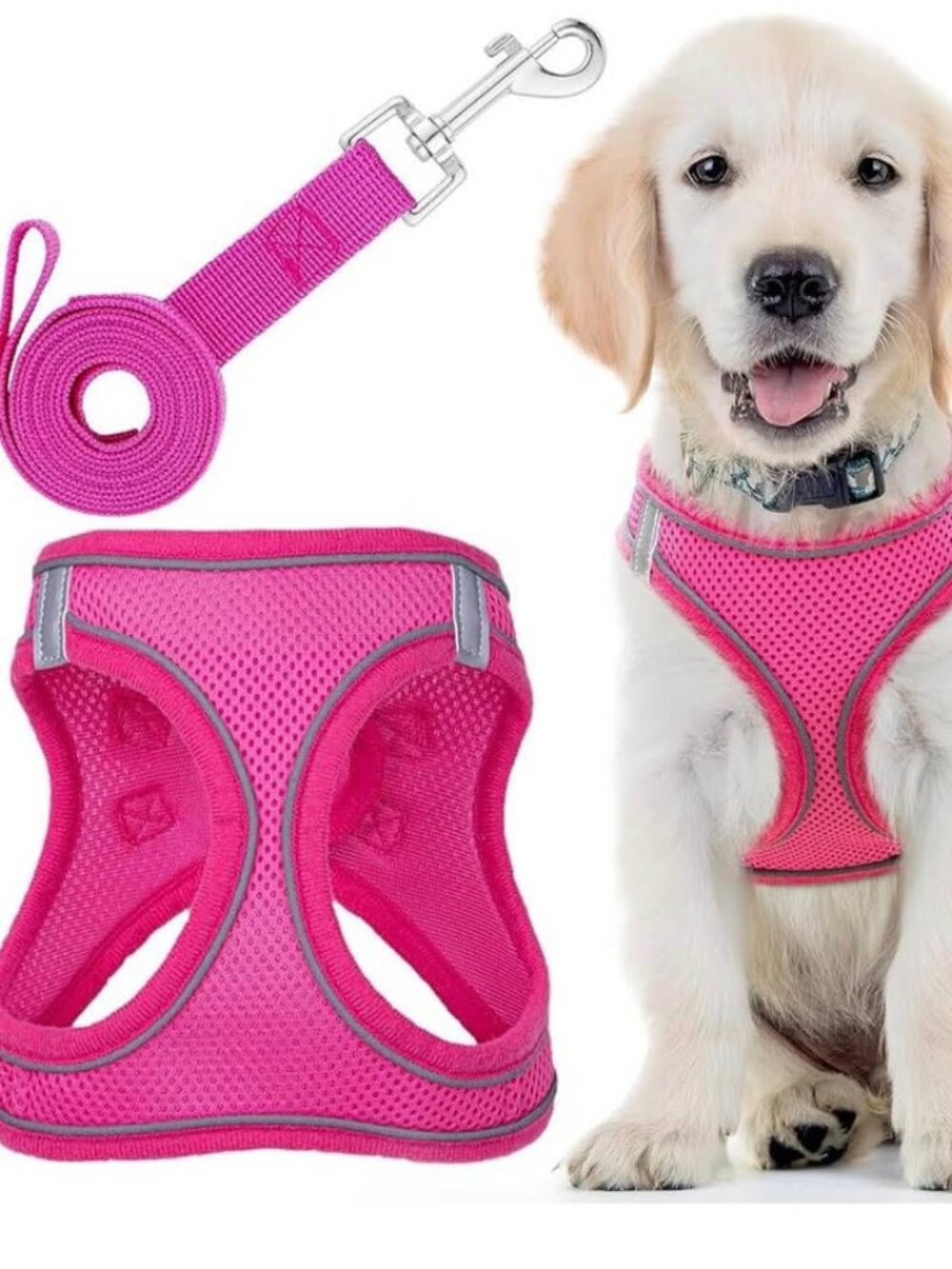 Dog Harness with Leash size L